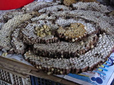 Asian giant hornet nest 2012-07-30