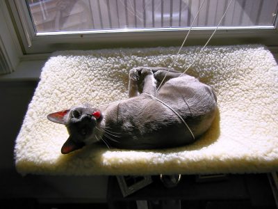 Suki and Cord 2002-12-17