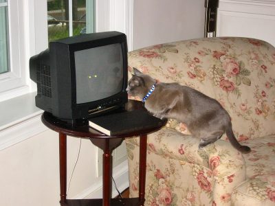 Suki watches the room 2005-06-02